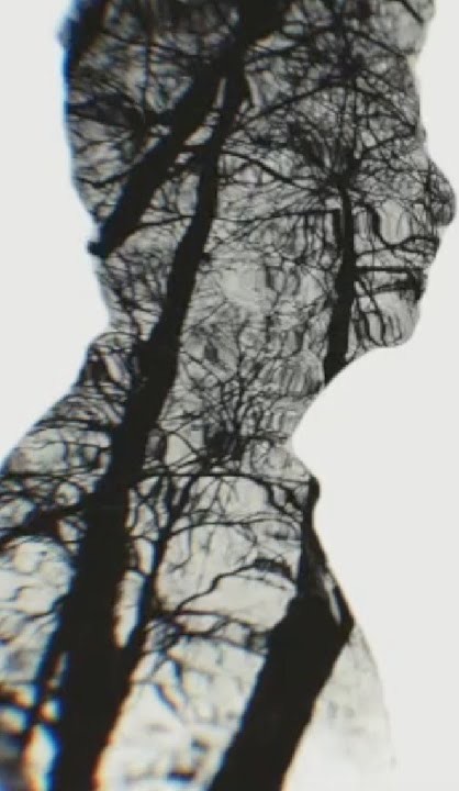 Naylor Stone, a double exposure of winter trees through his profile